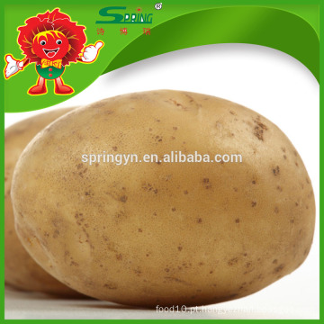 Batatas amarelas orgânicas batata fresca do bebê com o melhor preço